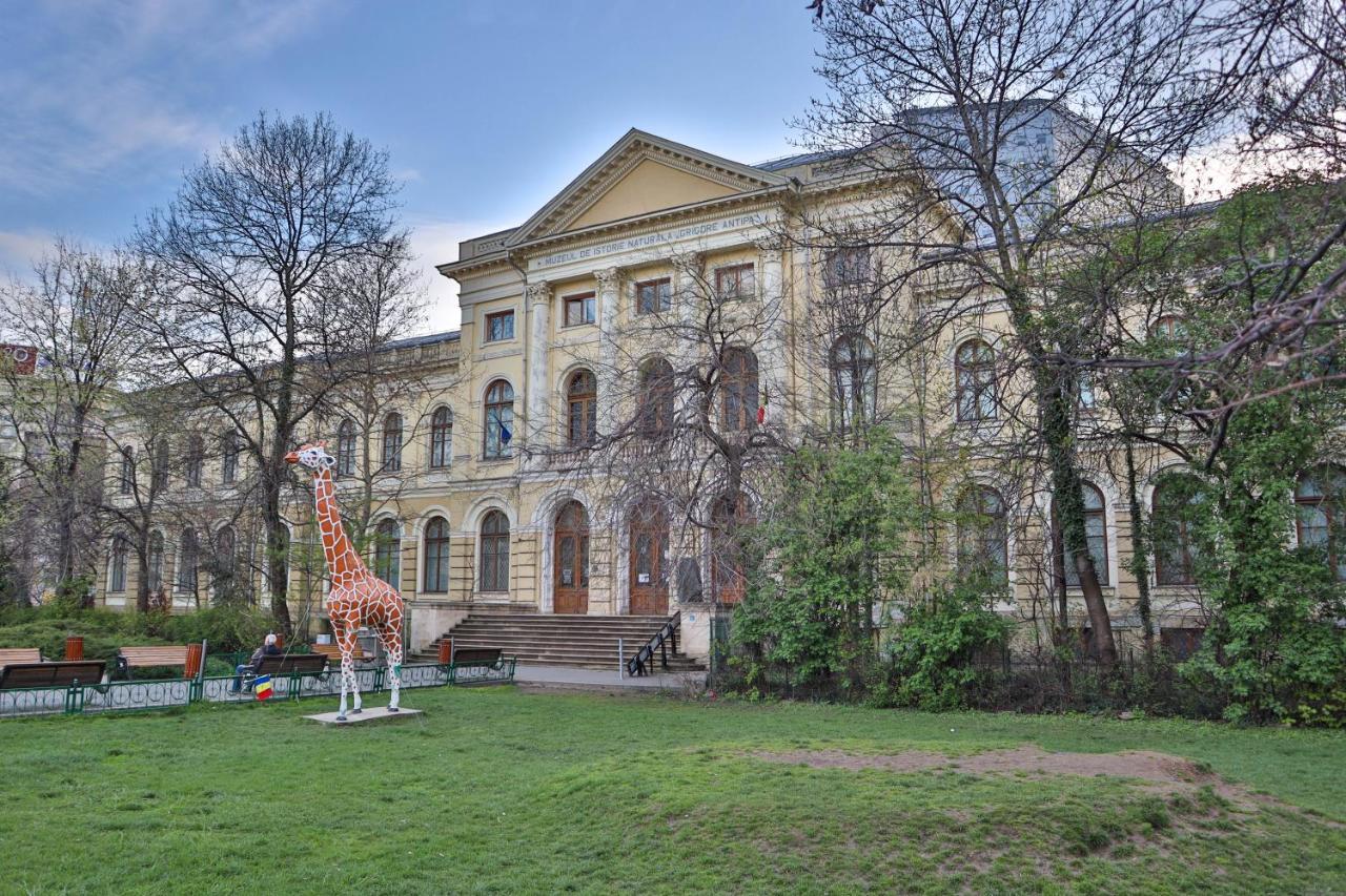Oak Apartment - Piata Victoriei Bucareste Exterior foto