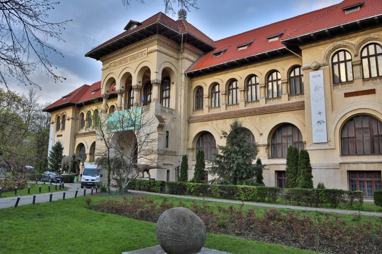 Oak Apartment - Piata Victoriei Bucareste Exterior foto